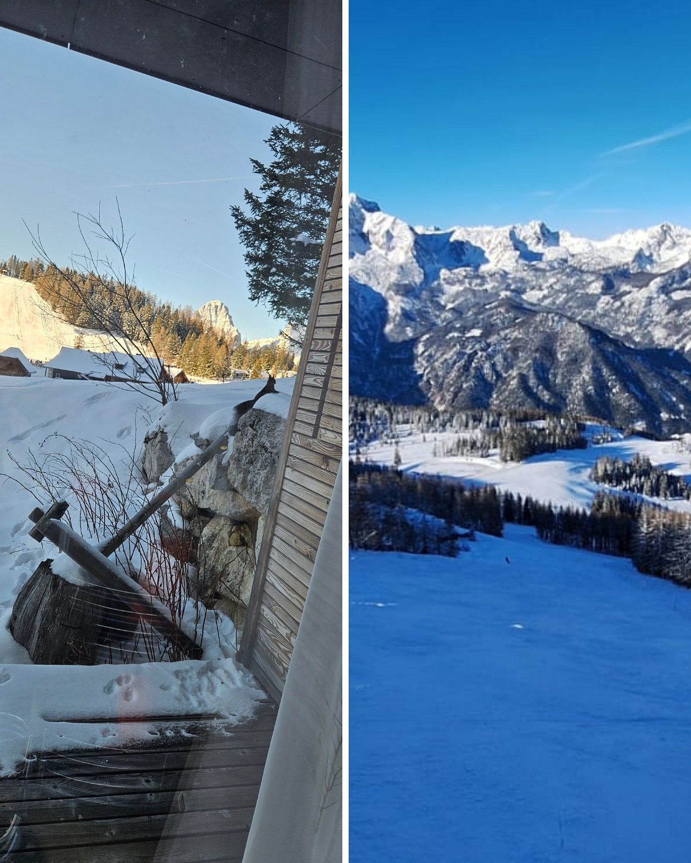 Learn, ski, and relax — all in one place